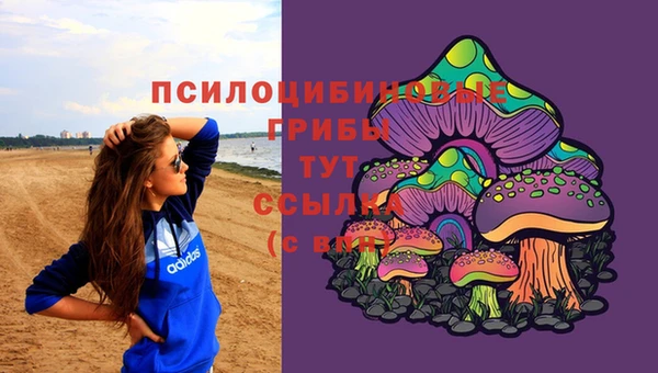 стаф Остров