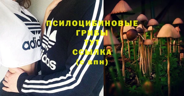 mdma Няндома