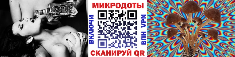 Купить где  Мамоново  Галлюциногенные грибы прущие грибы 